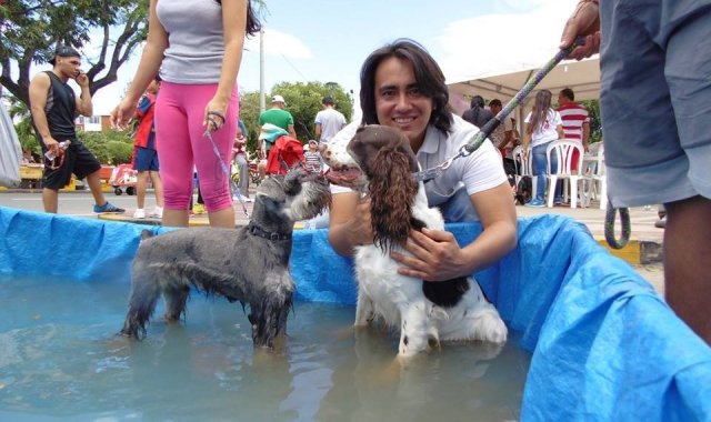 Caicedo es defensor de los derechos de los animales desde hace varios años. Archivo