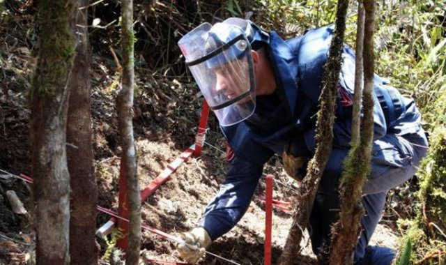Los encargados de desminar son los soldados del Ejército Nacional, pertenecientes al Batallón de Ingenieros de Desminado Humanitario. Colprensa
