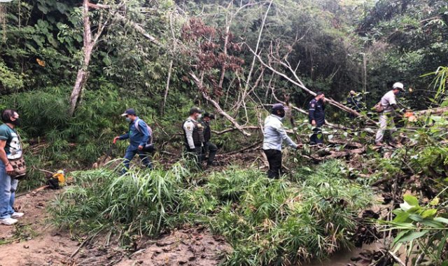 Insisten en la creación del parque lineal del río Tejo para mitigar la contaminación ambiental. Cortesía