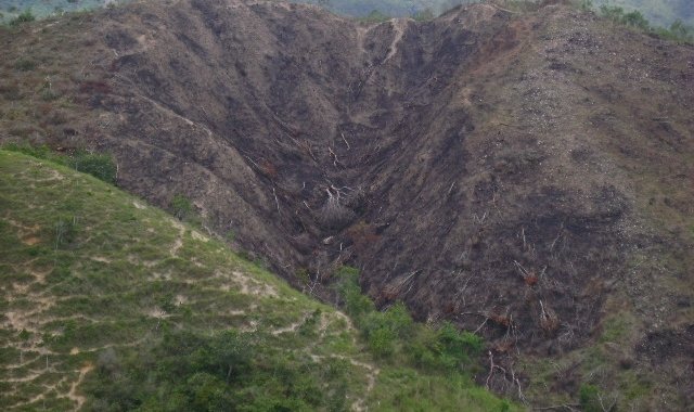La lucha contra la deforestación debe involucrar a otras entidades que hacen parte del Sistema Nacional Ambiental (Sina), según la Gobernación y Corponor  Archivo La Opinión