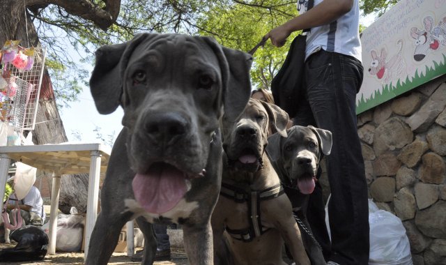 Archivo / La Opinión 