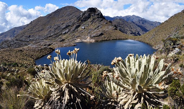 Archivo / La Opinión