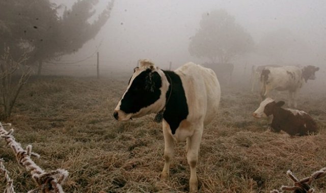 Archivo / La Opinión