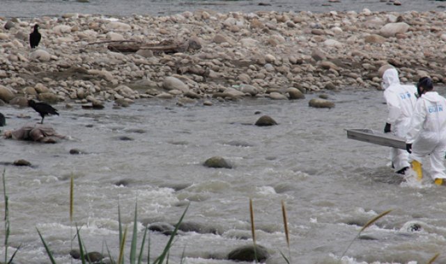 La Brinho rescató el cadáver del agua y lo trasladó al Instituto de Medicina Lega. Cristian Herrera