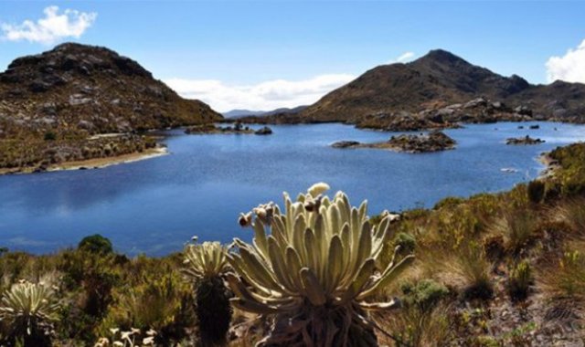 Archivo / La Opinión