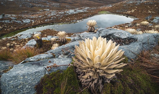 Archivo / La Opinión