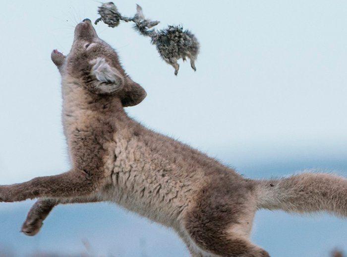 Sergey Gorshkov-National Geographic