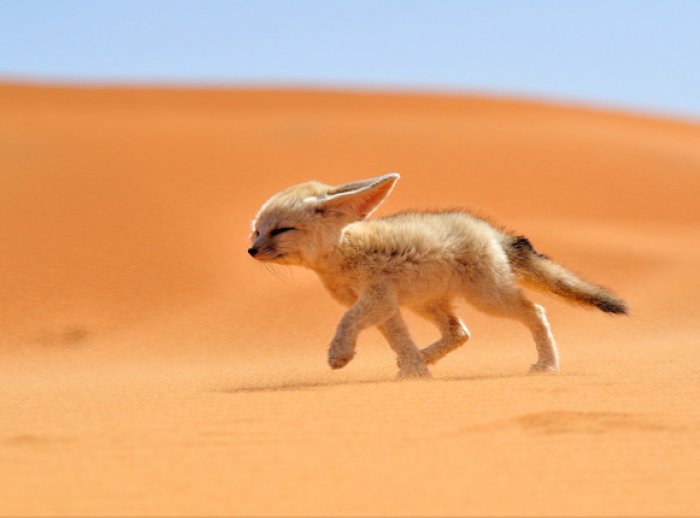 www.nationalgeographic.com