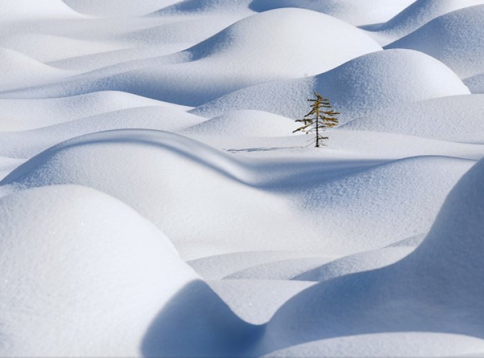 www.nationalgeographic.com
